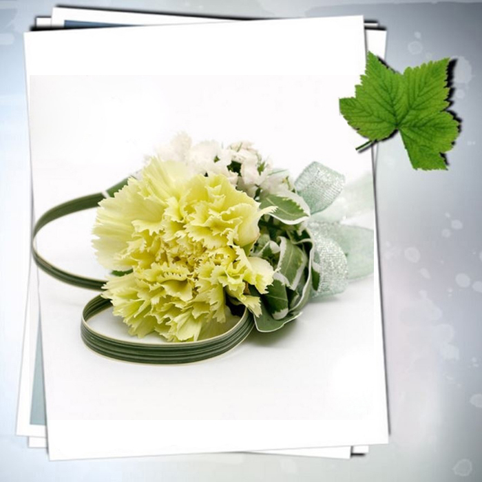 Corsage 13-Single Carnation Flower