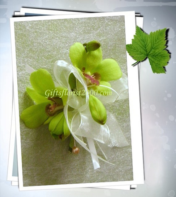 Corsage 19-Dendrobium Jade
