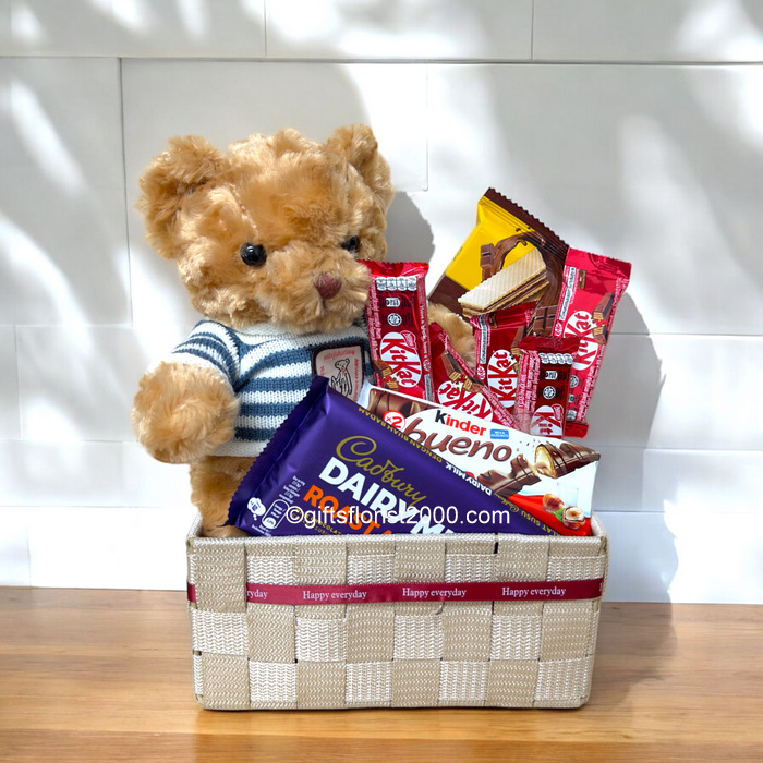 2025VDG3: Chocolate Delight Gift Basket with Teddy