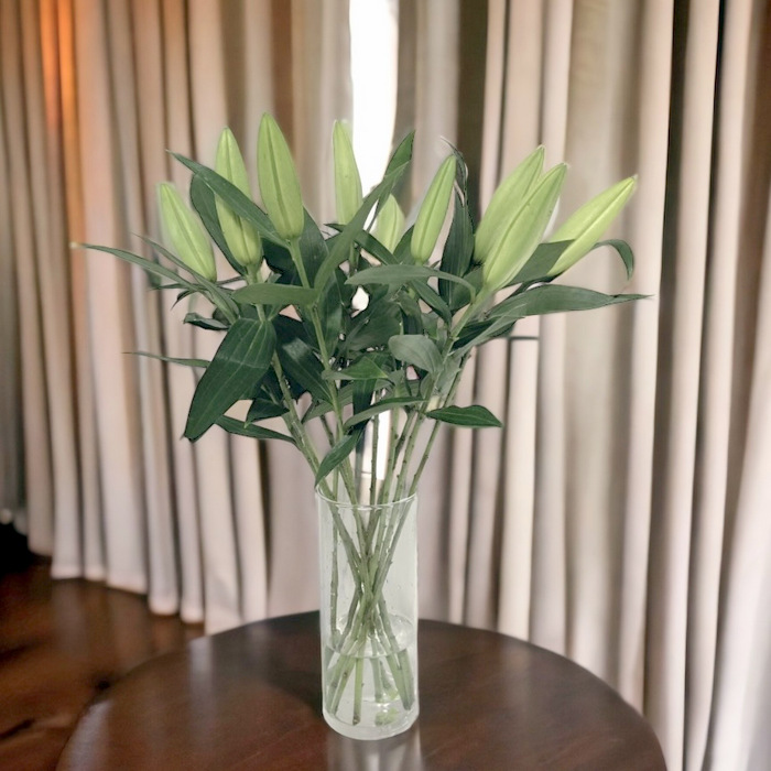 Fragrance White Lily-VF10